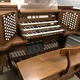 myorgan
