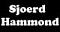 sjoerd1234