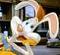RogerRabbit