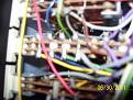 Click image for larger version

Name:	organ 012.jpg
Views:	1
Size:	72.2 KB
ID:	581845