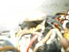 Click image for larger version

Name:	IMGP1546.jpg
Views:	1
Size:	46.5 KB
ID:	582470